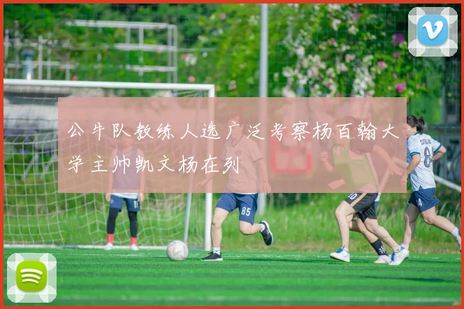 公牛队教练人选广泛考察杨百翰大学主帅凯文杨在列